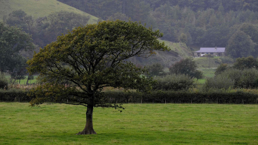 IHT concerns sees rural residents turn to financial advice